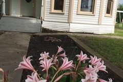 Outside the Bride and Groom House